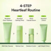 Abib Heartleaf Calming Trial Kit Facial Piel Sensible Y Acné