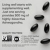 Sports Research Suplementos Herbales Ashwagandha Sin Sabores