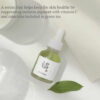 Beauty Of Joseon Calming Serum Green Tea + Panthenol 30ml Todo Tipo De Piel