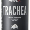 Trachea 180cap I Primal Fx I Dr Ludwig Johnson