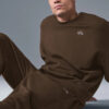 Alo Yoga Buzo Accolade Oversize Unisex Original Algodón S - 4 Marrón Oscuro Accolade Crew Neck