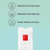 Cosrx 24 Parches Para Reducir El Acne Pimple Master Patch Mixta