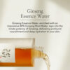 Beauty Of Joseon Ginseng Essence - Tónico Facial Hidratante