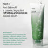 Anua Heartleaf Quercetinol Pore Deep Cleansing Foam Momento Todo Tipo De Piel Día