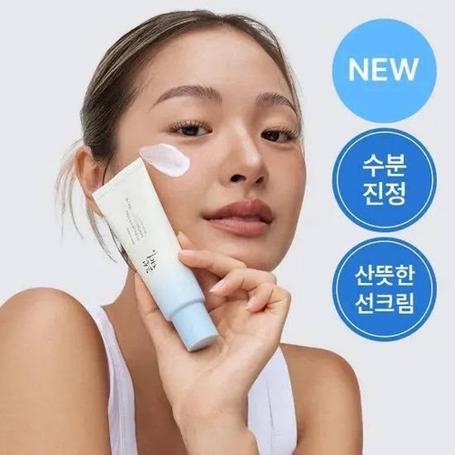 Beauty Of Joseon Protector Solar Relief Sun Aqua Fresh B5
