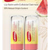 Carmex Comfort Care Bálsamo Labial Hidratante | Watermelon