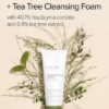Mary & May Houttuynia Cordata + Teatree Cleansing Foam 150ml Todo Tipo De Piel Día/noche