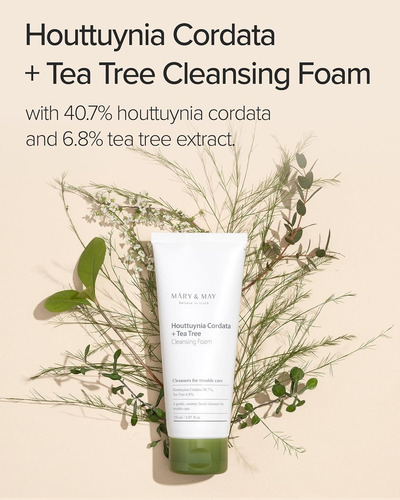 Mary & May Houttuynia Cordata + Teatree Cleansing Foam 150ml Todo Tipo De Piel Día/noche