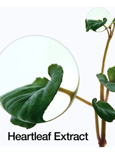 Anua Heartleaf Pore Control Oil Mild Aceite Limpiador