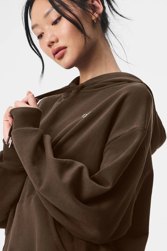 Alo Yoga Campera Chompa, Accolade Hoodie Unisex Marrón Oscuro L - 12 Accolade Hoodie