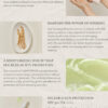 Beauty Of Joseon - Ginseng Moist Sun Serum Spf 50+ Pa++++ Ti Todo Tipo De Piel Día/noche