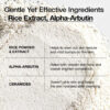 Anua Rice Enzyme Brightening Cleansing Powder 40g - K Beauty Momento De Aplicación Día/noche Tipo De Piel Todo Tipo De Piel