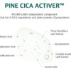 Round Lab Pine Calming Cica Ampule Para Piel Acné Y Rosácea Todo Tipo De Piel Día/noche