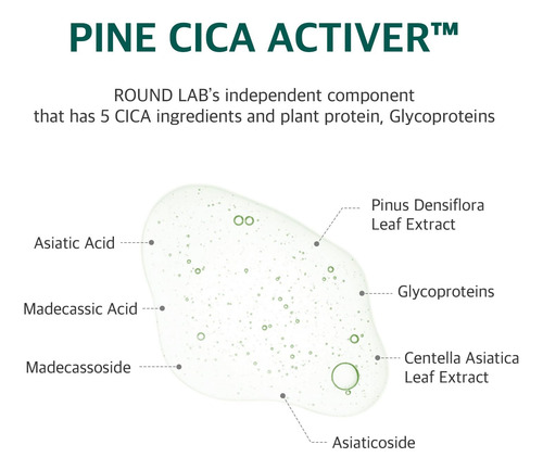 Round Lab Pine Calming Cica Ampule Para Piel Acné Y Rosácea Todo Tipo De Piel Día/noche