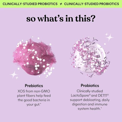 Lemme Suplemento Debloat Para Salud Digestiva E Intestinal Zarzamora