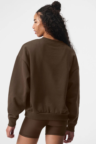 Alo Yoga Remera Ccolade Crew Neck Pullover Suéter De French Marrón Oscuro French Terry Con Textura Lisa Por Fuera Y Afelpada Por Dentro S - 32