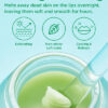 Tocobo Balsamo Mint Cooling Lip Mask Mascarilla Refrescante