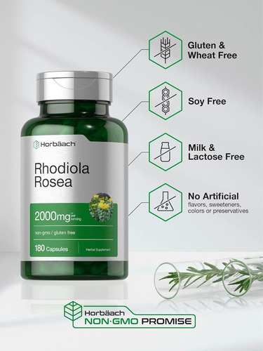 Horbäach Suplemento Rhodiola Rosea Energía Y Bienestar Sin Sabor