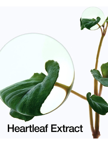 Anua Heartleaf 77 Soothing Tonico Calmante Piel Sensible Todo Tipo De Piel Día