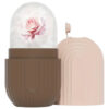 Rodillo Facial De Silicona Genérico Ice Face Roller Marrón