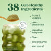 Suplemento En Polvo Bloom Carbohidratos Sabor Original X 151 Frutilla Y Kiwi