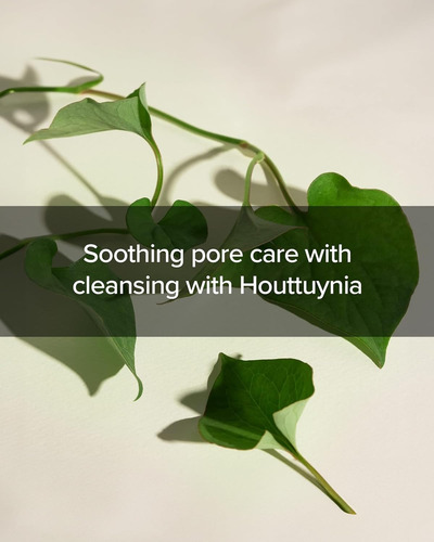 Mary & May Houttuynia Cordata + Teatree Cleansing Foam 150ml Todo Tipo De Piel Día/noche